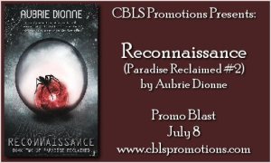 reconnaissance-blastbanner